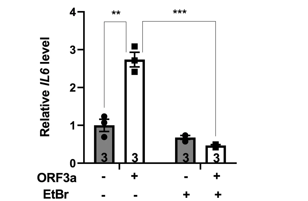 Open access visualization of Bar Plot, Error Bars, qRT-PCR, mRNA, Gene Expression