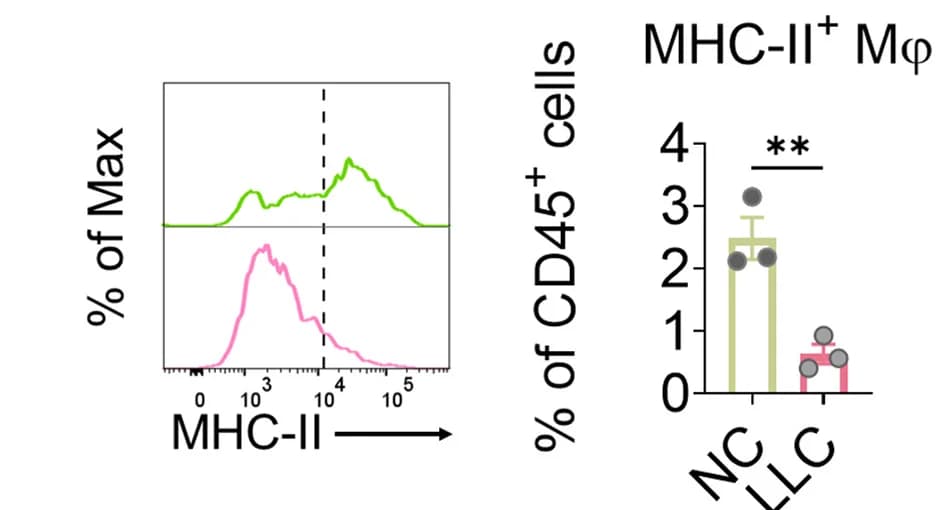 Open access visualization of Bar Plot, Line Plot, Flow Cytometry, MHC Class II+ Macrophages, NC Lungs