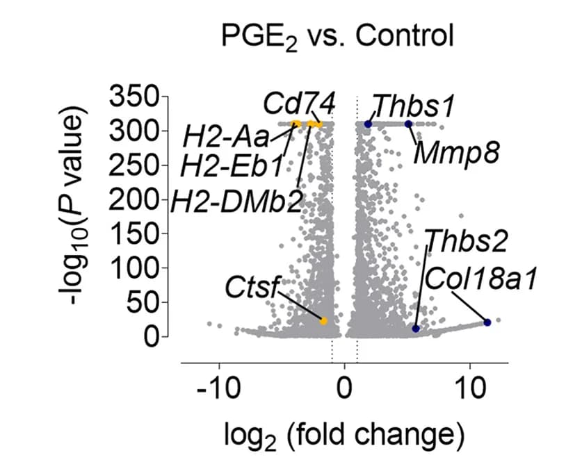 Open access visualization of Volcano Plot, Scatter Plot, Differentially Expressed Genes, PGE2, Con