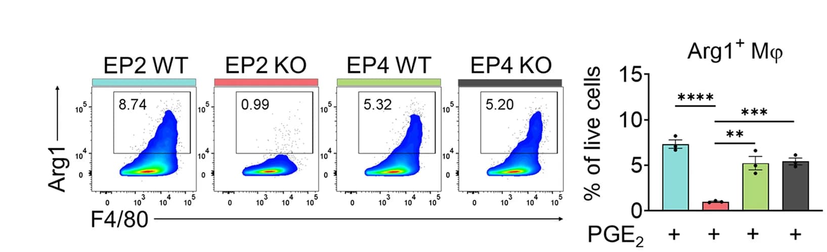 Open access visualization of Scatter Plot, Bar Plot, Error Bars, Flow Cytometry, Arginase 1