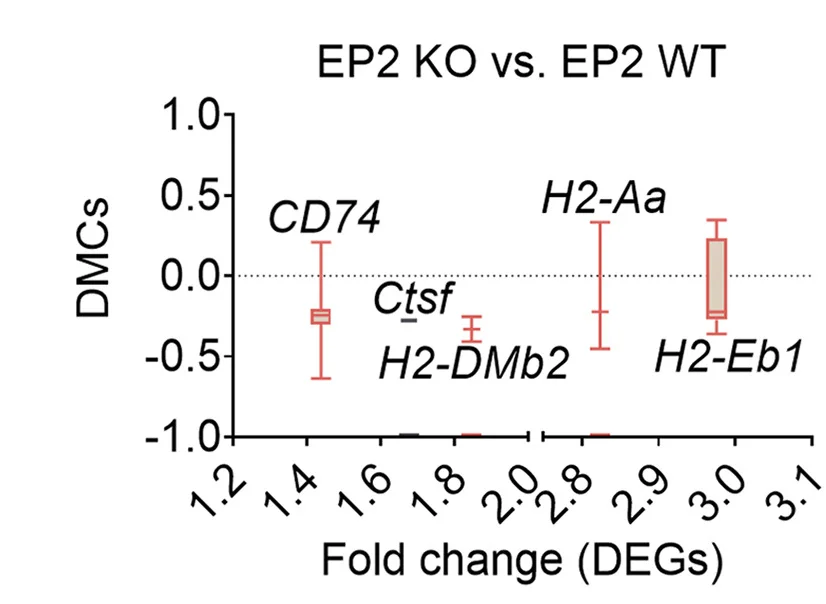 Open access visualization of Error Bars, Box and Whisker Plots, Differentially Methylated CpGs, Fold Changes, Differentially Expressed Genes