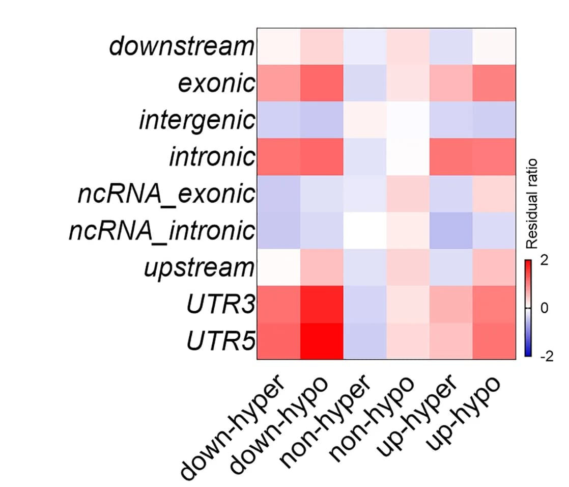 Open access visualization of Heatmap, DEG-DMC Relationships, Genomic Regions, PGE2 Group, Control