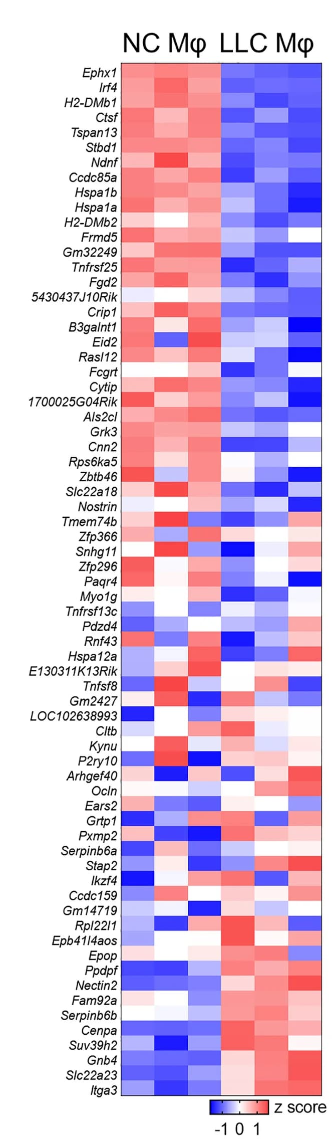 Open access visualization of Heatmap, DEGs, NC, LLC, Macrophages