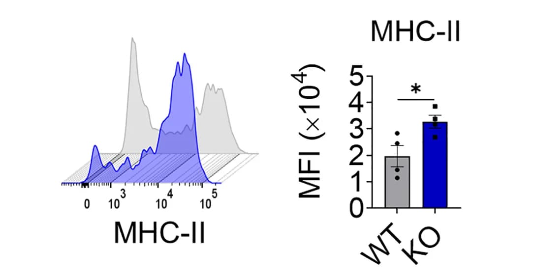 Open access visualization of Bar Plot, Histogram, Error Bars, Flow Cytometry, MHC Class II