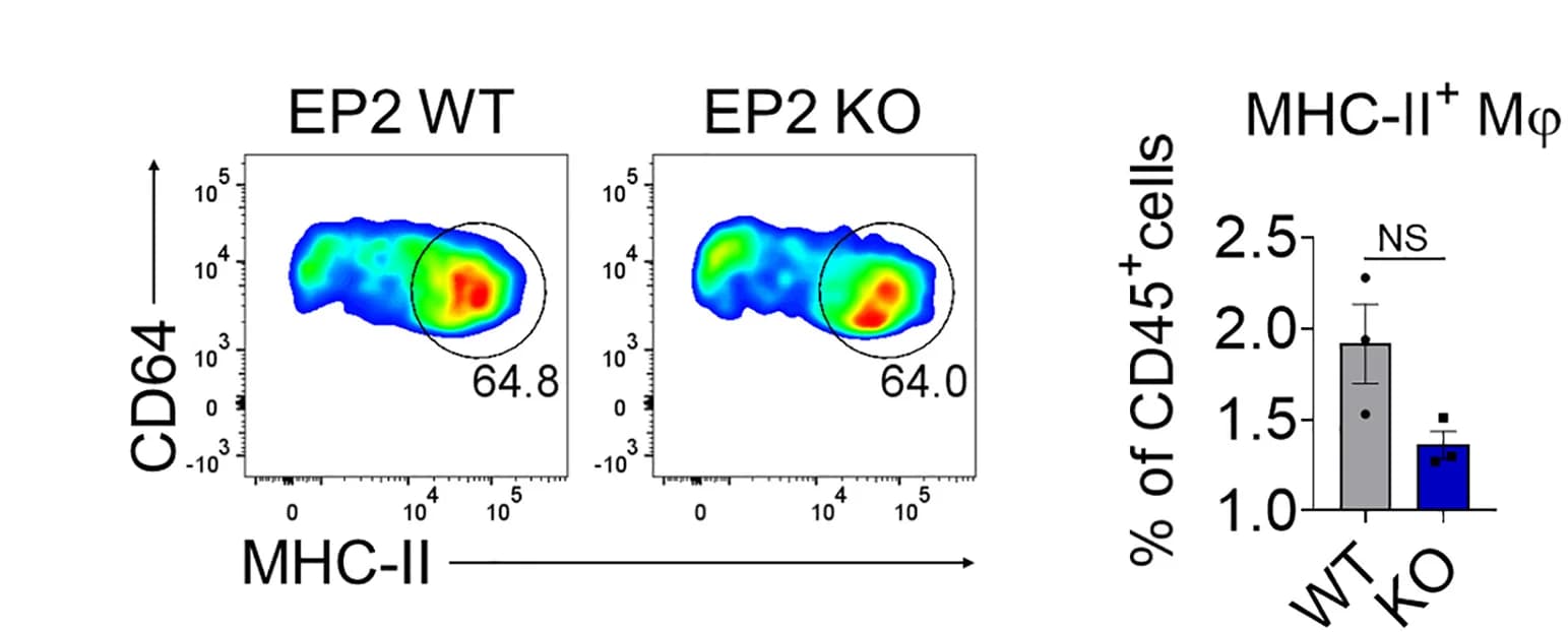 Open access visualization of Scatter Plot, Bar Plot, Error Bars, Flow Cytometry, MHC Class II