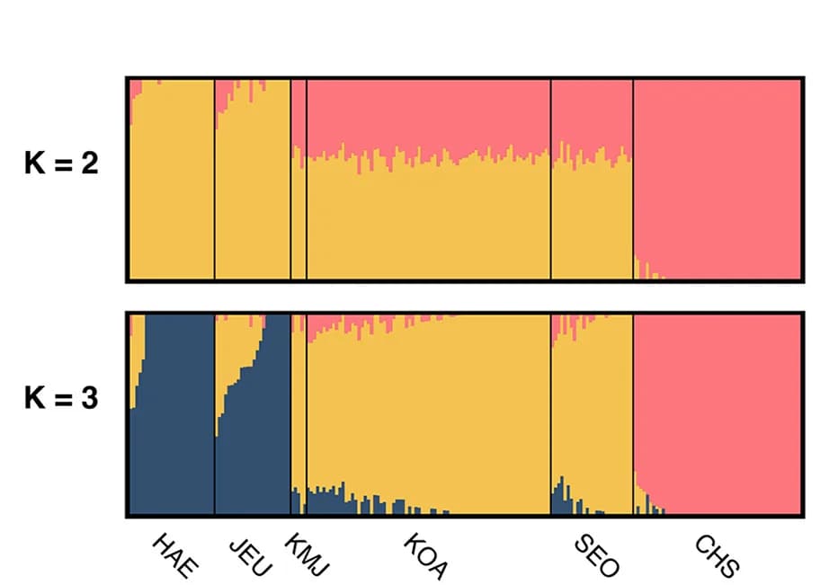Open access visualization of Stacked Bar Plot, Admixture Graph, Haenyeo, Mainland Koreans, Han Chinese