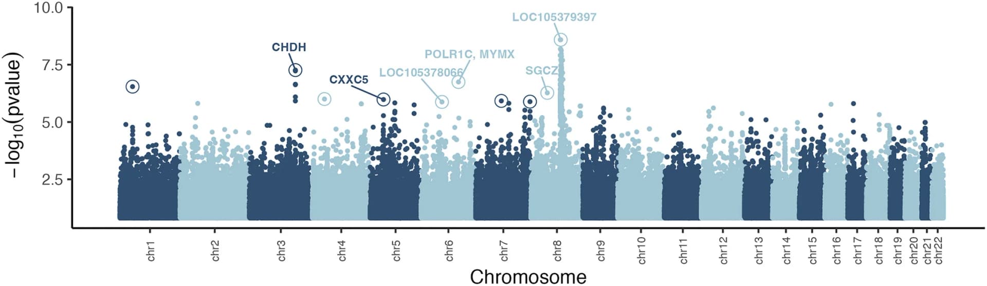 Open access visualization of Manhattan Plot, SNPs, Gene Name, Gene