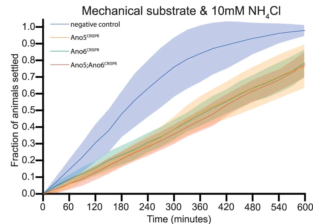 Open access visualization of Line Plot, Error Bars, Settlement Curves, Ciona Larvae, Ammonium Chloride