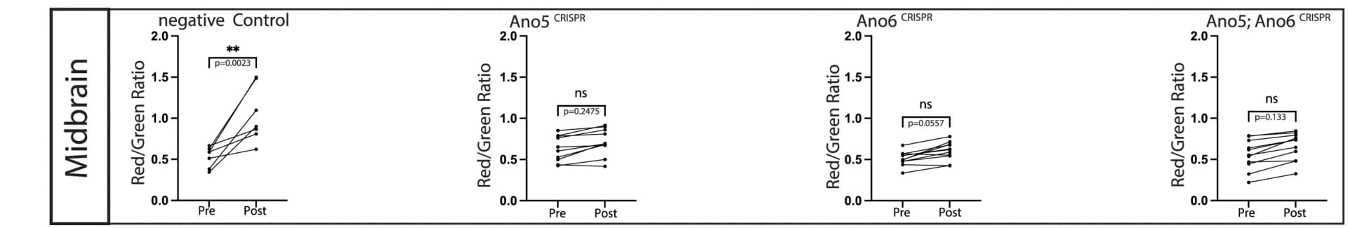 Open access visualization of Line Plot, CAMPARI2, Red/Green Ratios, Brain Regions, Photoconversion