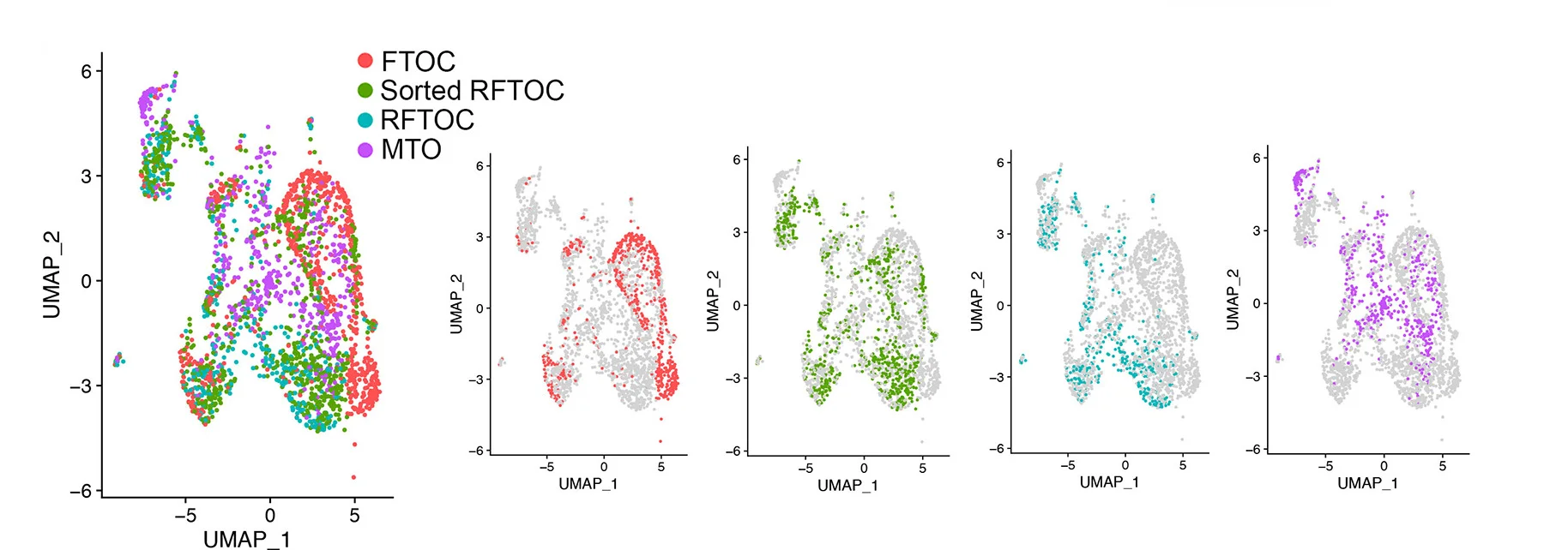 Open access visualization of Scatter Plot, UMAP, TECs, UMAPs, FTOC