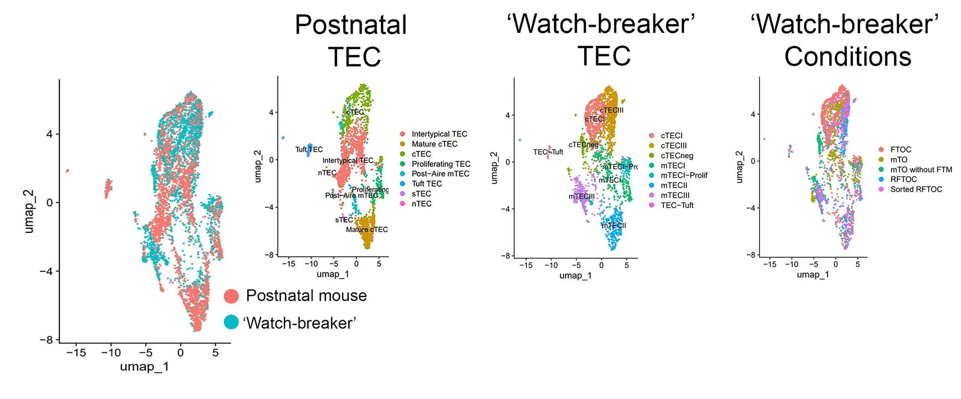 Open access visualization of UMAP, Scatter Plot, UMAPs, Dimensionality Reduction, Watch-breaker Dataset