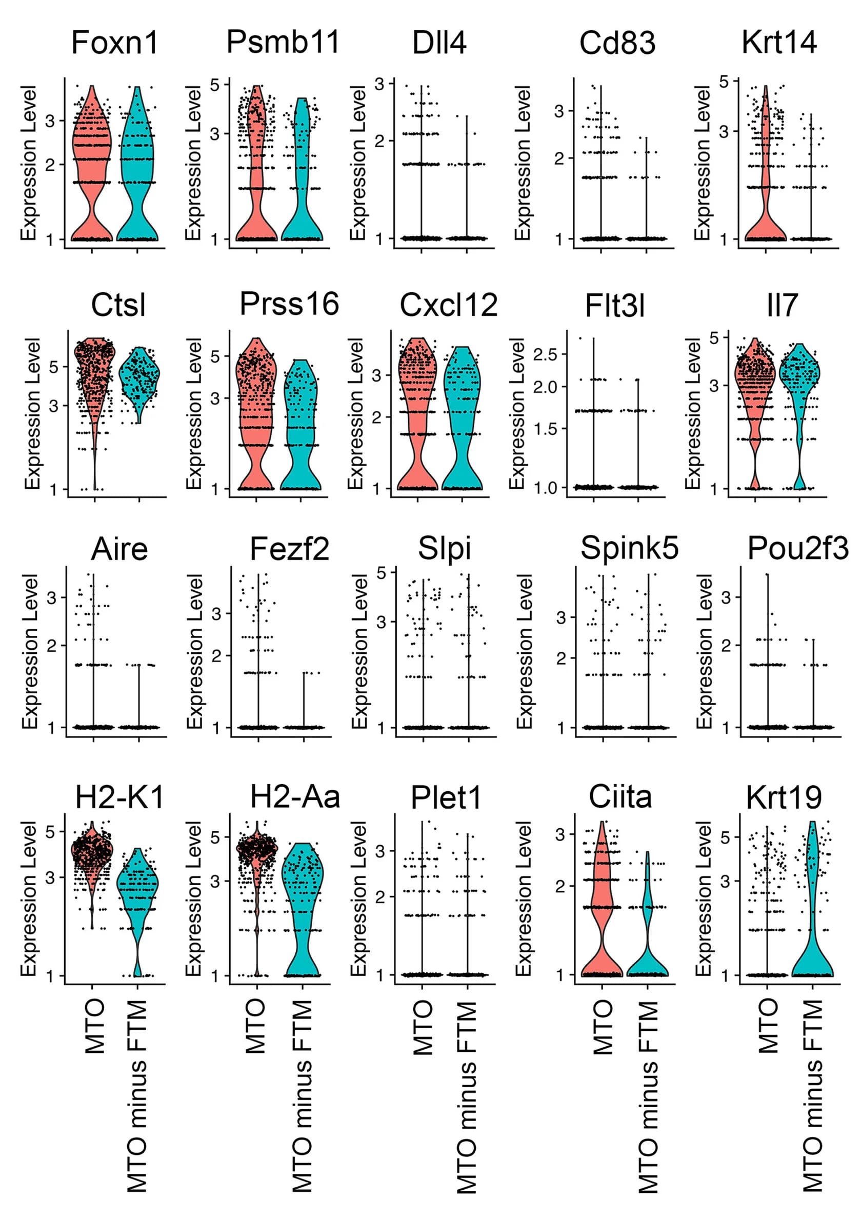 Open access visualization of Violin Plot, Box Plot, Scatter Plot, TECs, Violin Plots