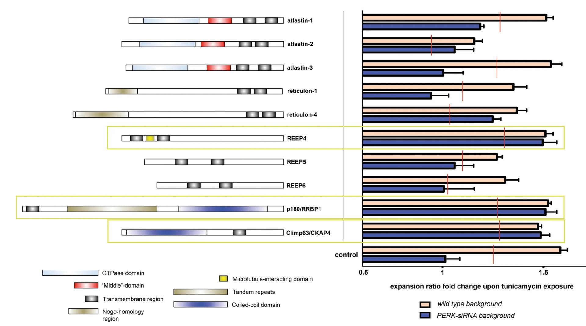 Open access visualization of Bar Plot, Error Bars, ER Shapers, siRNA, PERK