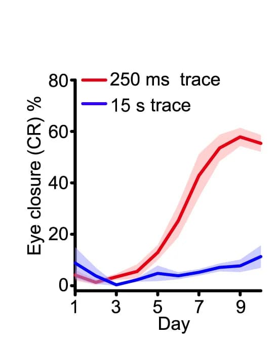 Open access visualization of Line Plot, Error Bars, Learning Curves, Associative Learning, Mice