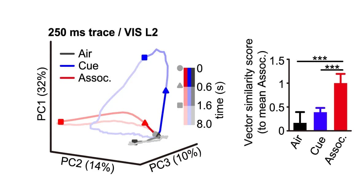 Open access visualization of Bar Plot, 3D Plot, Line Plot, Error Bars, PCA Trajectories