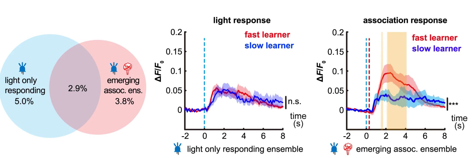 Open access visualization of Line Plot, Error Bars, Venn Diagram, Cue Responding, Association-activated Ensembles