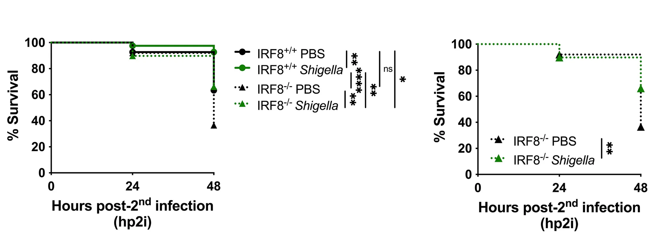 Open access visualization of Survival Curve, Survival Rates, IRF8 Zebrafish Larvae