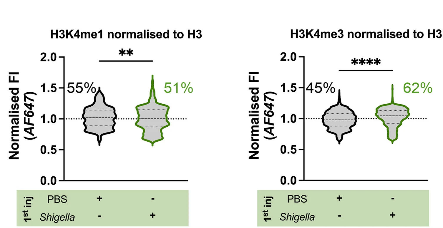Open access visualization of Violin Plot, H3K4me1, H3K4me3, Macrophages, Larvae