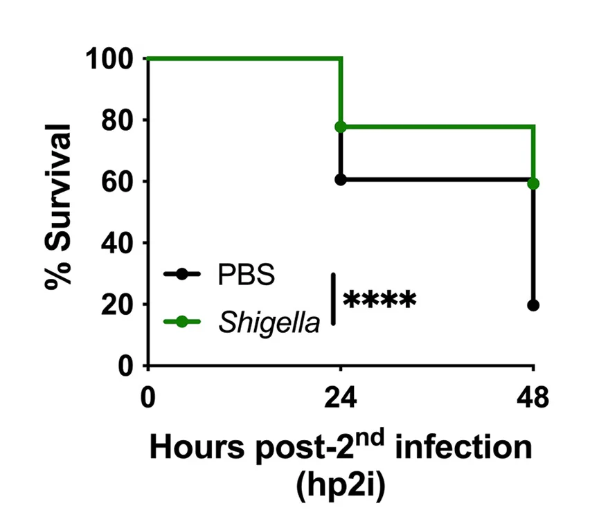 Open access visualization of Line Plot, Line Step, Survival Curve, Survival Rates, Larvae