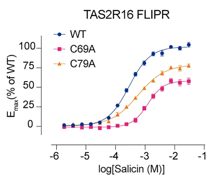 Open access visualization of Line Plot, Error Bars, Alanine Mutagenesis, Disulfide Bonds, FLIPR Ca2+ Assay