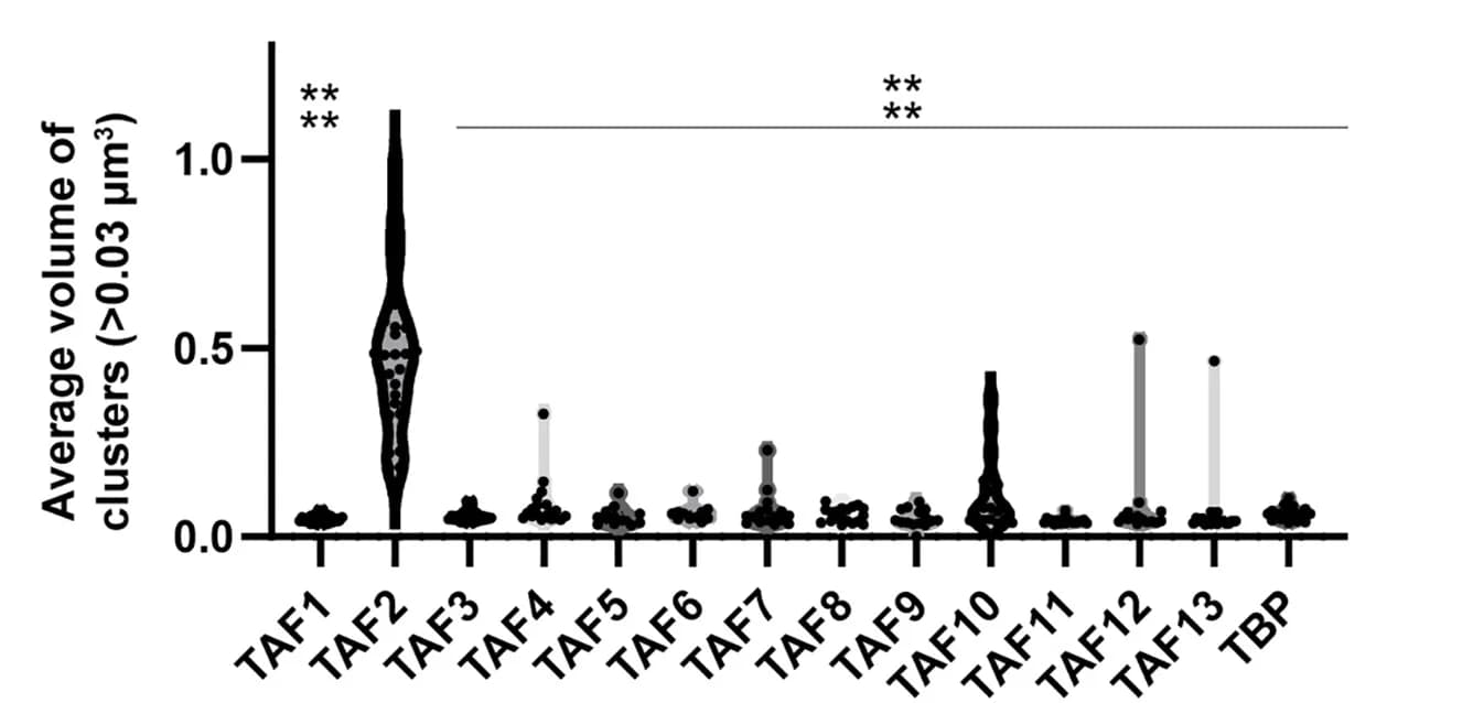 Open access visualization of Violin Plot, Scatter Plot, Nuclear Clusters, Structured Illumination Microscopy, SIM Images