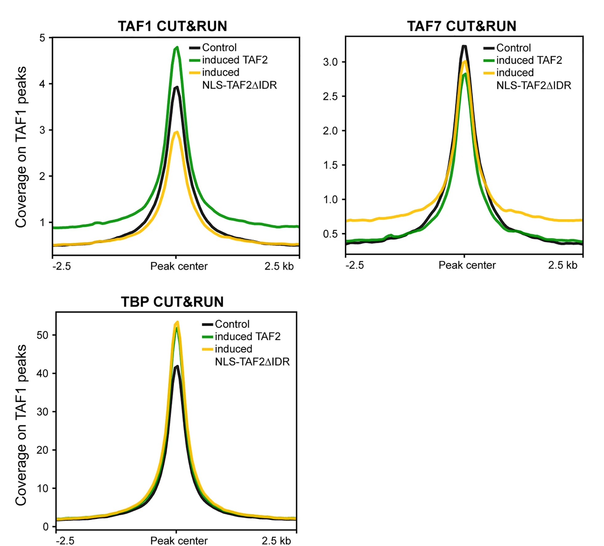 Open access visualization of Line Plot, Profile Plots, CUT&RUN Coverage, Endogenous TAF1, Endogenous TAF7