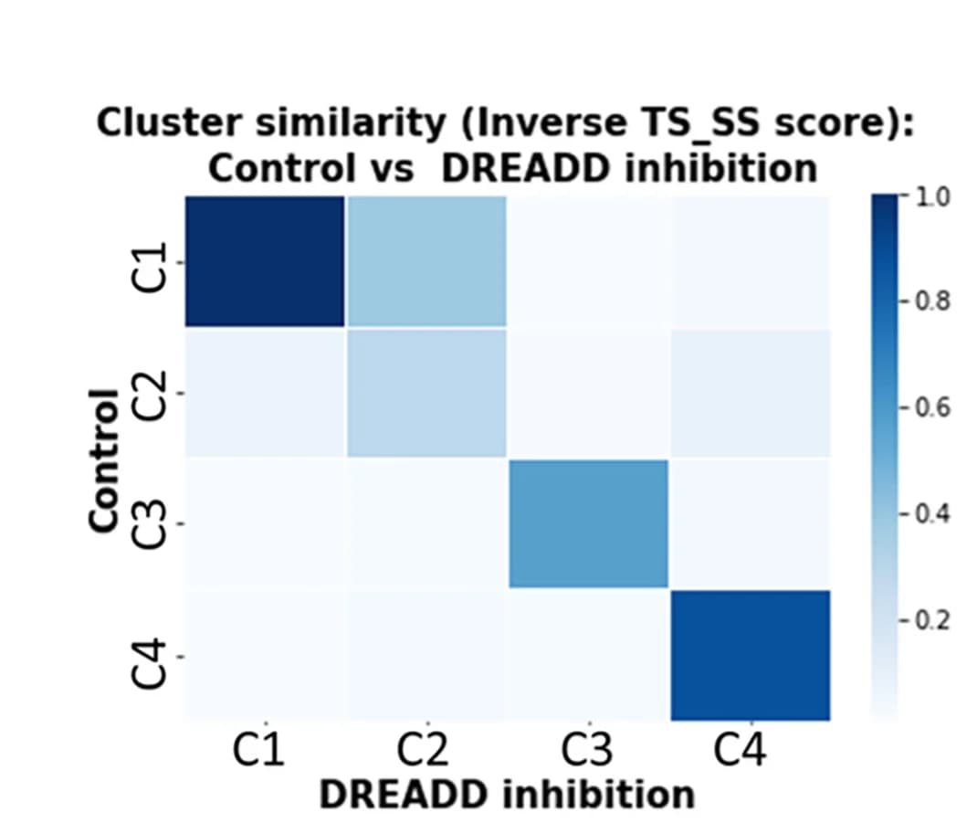 Open access visualization of Heatmap, Cluster Similarity Matrices, TS-SS, Manhattan, Pearson Correlation