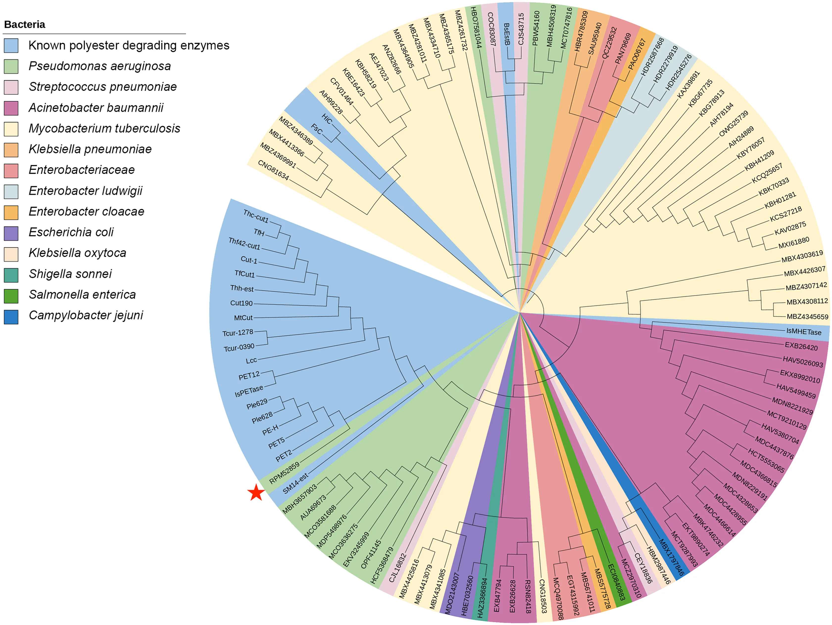 Open access visualization of Network, Pathway, Neighbor-Joining Tree, Protein Sequences, Bacteria