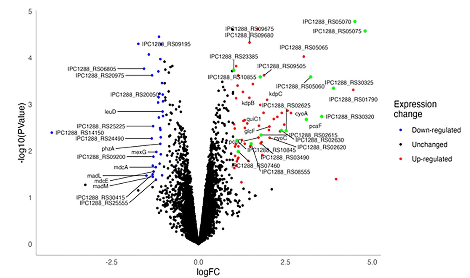 Open access visualization of Volcano Plot, Scatter Plot, dRNA-seq, PCL, Starvation Media