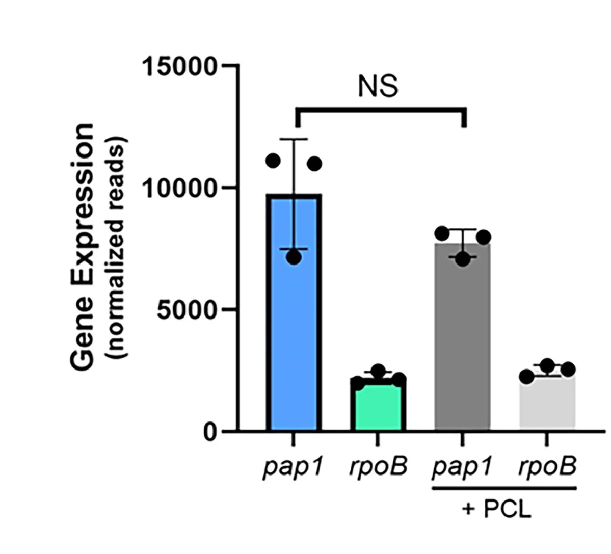 Open access visualization of Bar Plot, Error Bars, pap1, PCL, rpoB