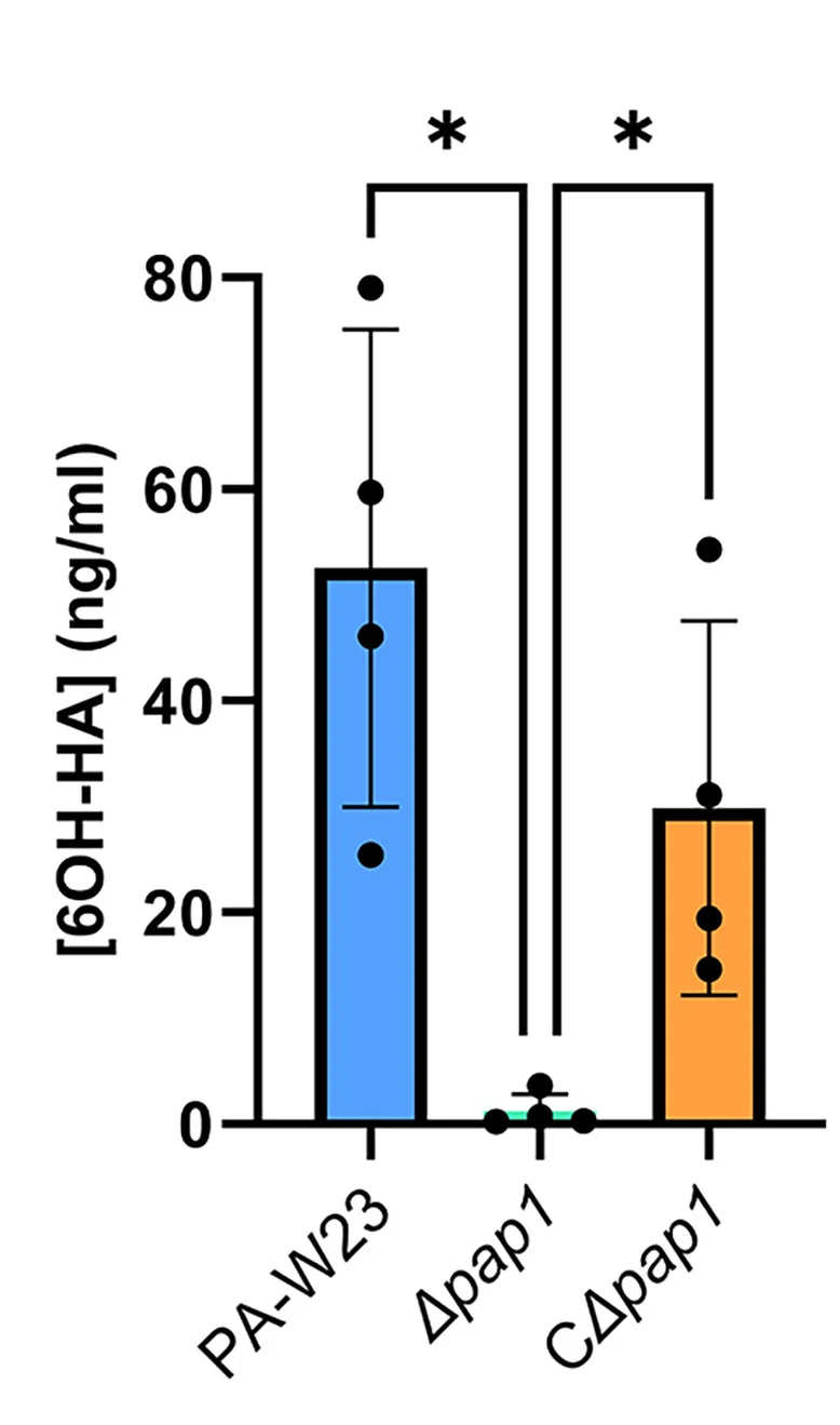 Open access visualization of Bar Plot, Error Bars, Quantification, 6OH-HA, Biofilms