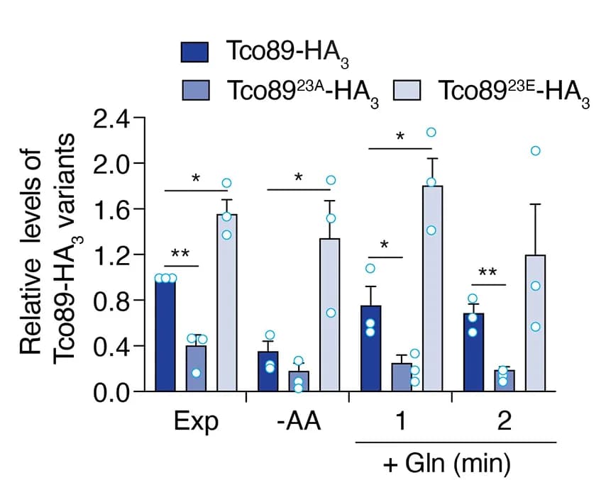 Open access visualization of Bar Plot, Error Bars, Tco89, TORC1, HA3-tagged Tco89