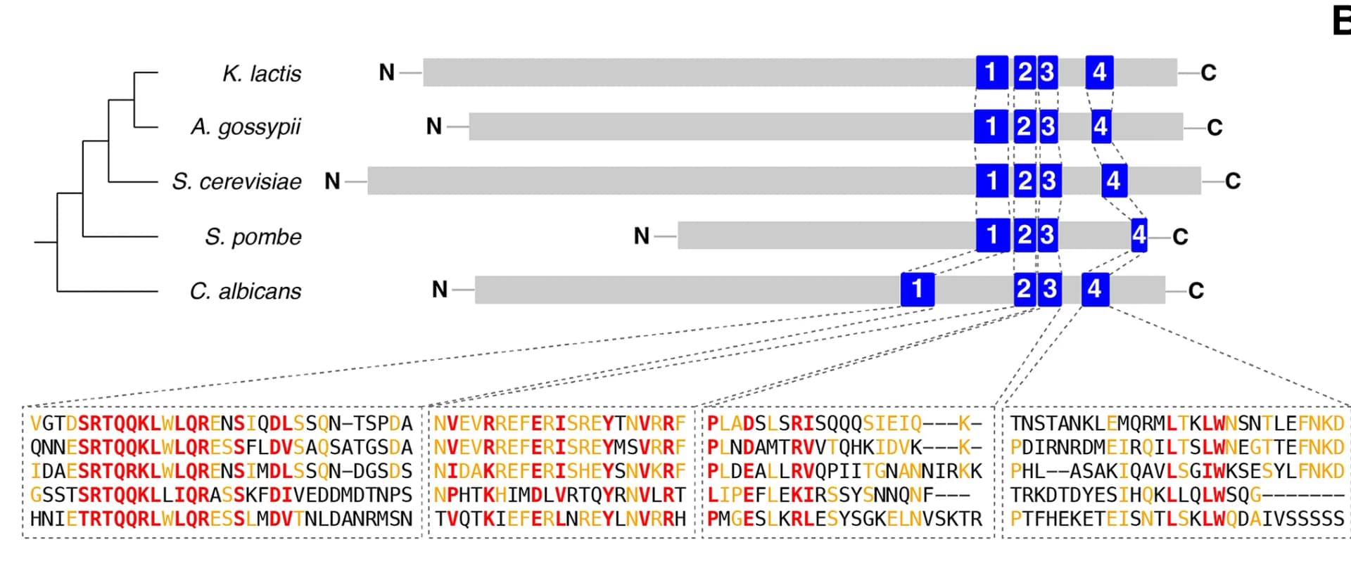 Open access visualization of Workflow, Illustration, Table Image, S. cerevisiae, Tco89