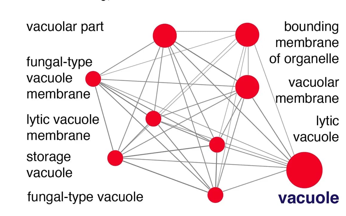Open access visualization of Network, GO Analysis, Tco89-Sensitive Phosphosites, Vacuolar Target Proteins