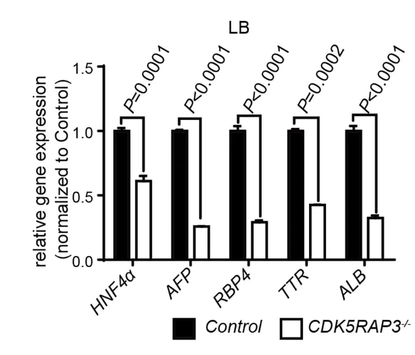 Open access visualization of Bar Plot, Error Bars, Clustered, Quantitative PCR, Hepatic Marker Gene Expression