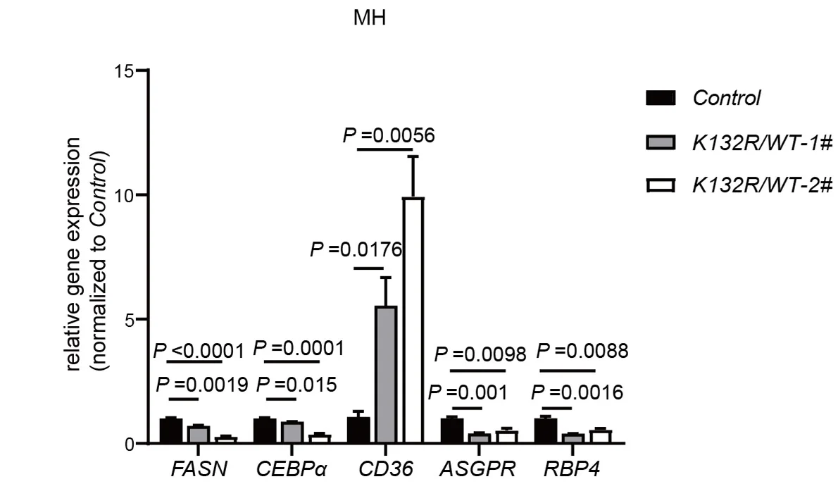 Open access visualization of Bar Plot, Error Bars, Clustered, Gene Expression Analysis, Marker Genes