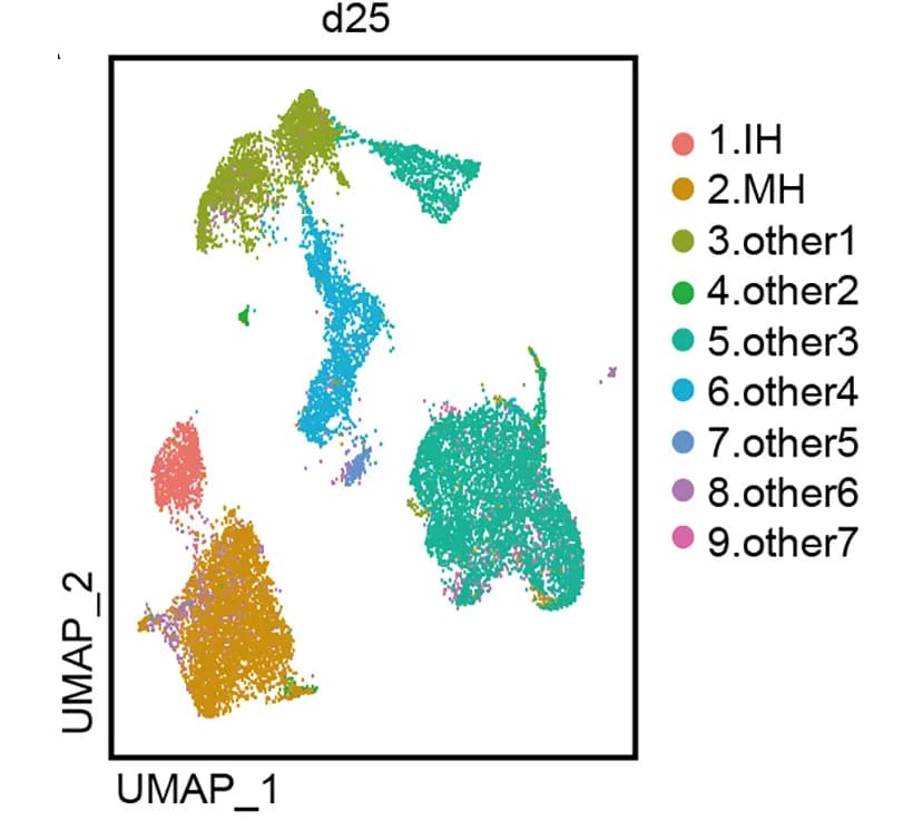 Open access visualization of Scatter Plot, UMAP, UMAP Plot, Cellular Populations, Control