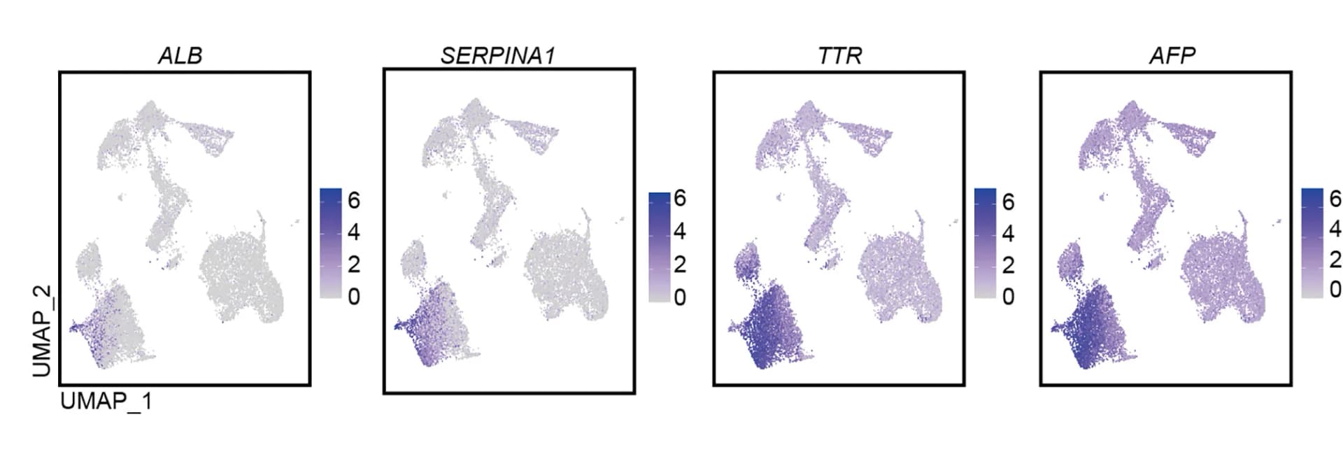 Open access visualization of UMAP, UMAP Plot, Marker Gene Expression, Subtype