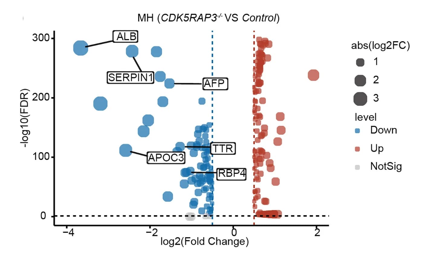 Open access visualization of Volcano Plot, Scatter Plot, Bubble Plot, DEGs, CDK5RAP3-/-