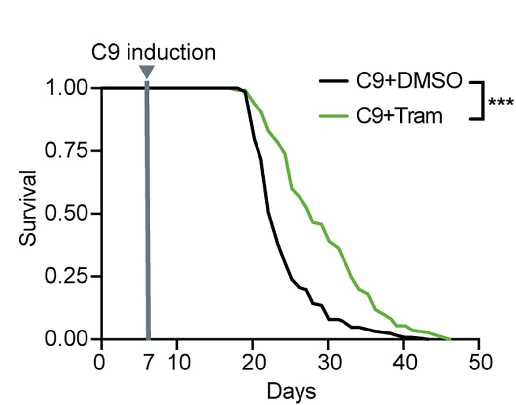 Open access visualization of Survival Curve, Line Plot, Survival Curves, Trametinib, C9 Flies