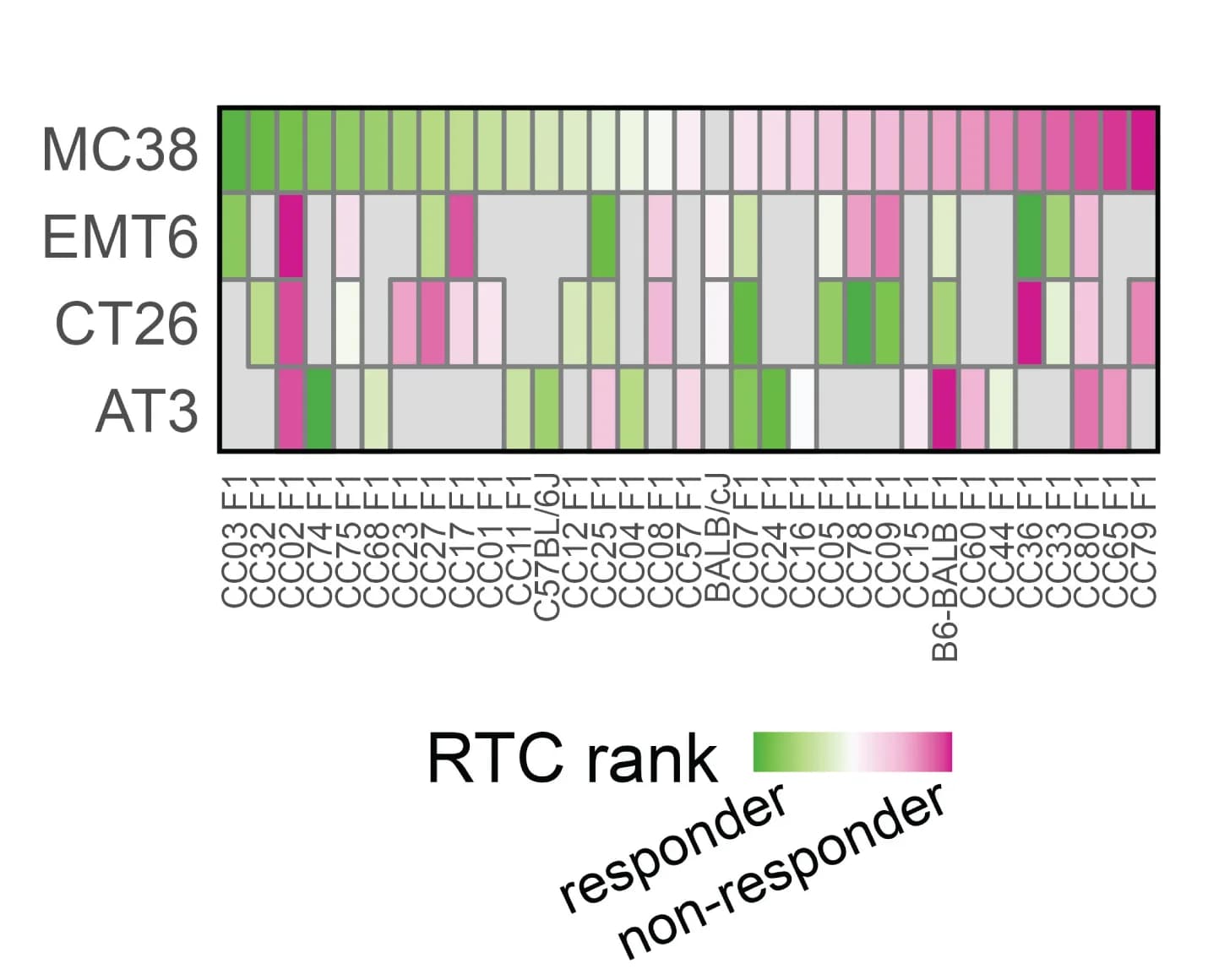 Open access visualization of Heatmap, Tumor/Control, Tumor Model, CCF1 Crosses, aPD1 Response