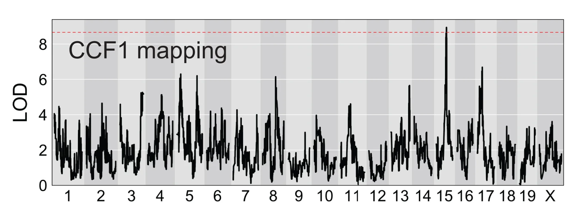 Open access visualization of Line Plot, LOD Curve, Genome Scan, ICI Response, CCF1 Lines