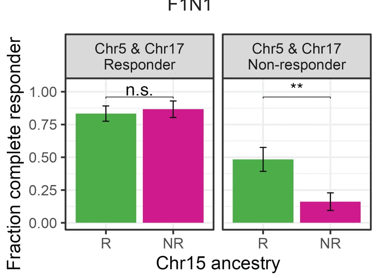 Open access visualization of Bar Plot, Error Bars, Clustered, Epistatic Interactions, QTL