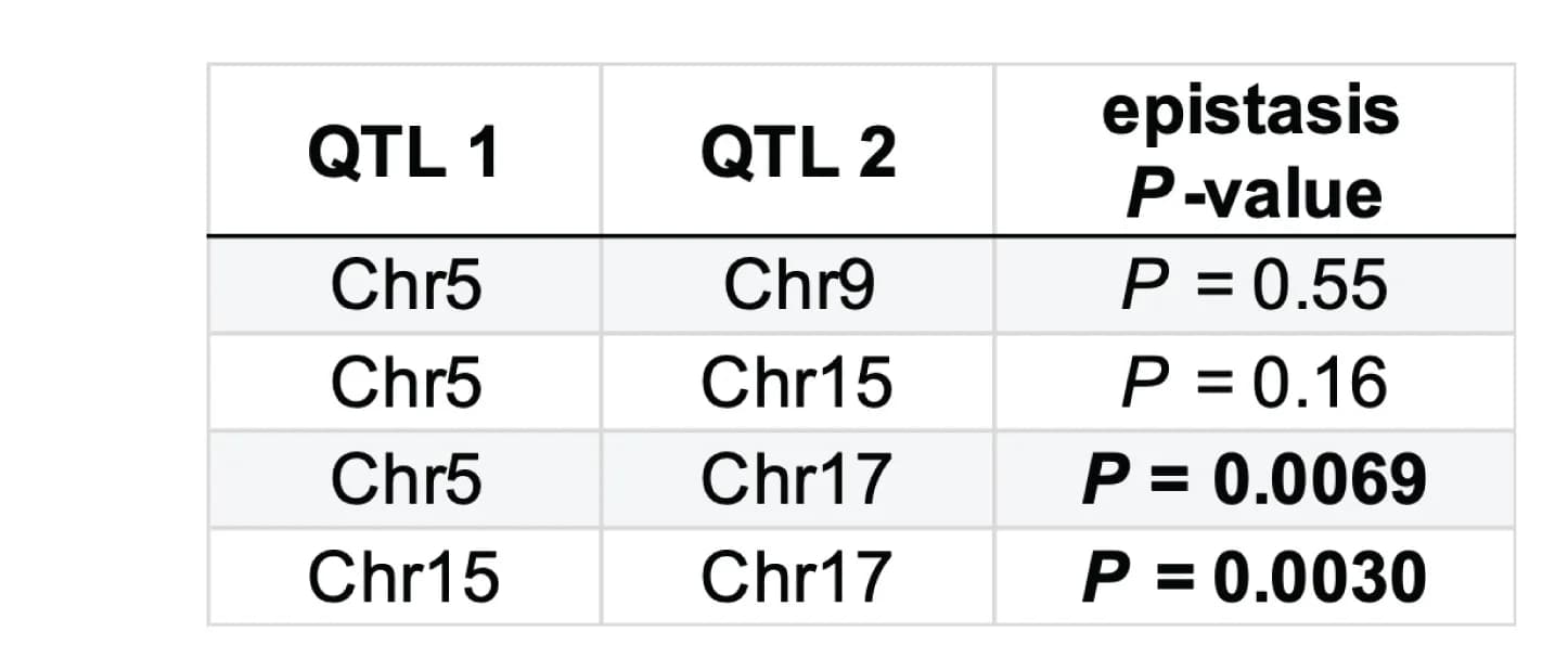 Open access visualization of Table Image, Statistical Testing, Epistatic Interactions, QTL, P Value