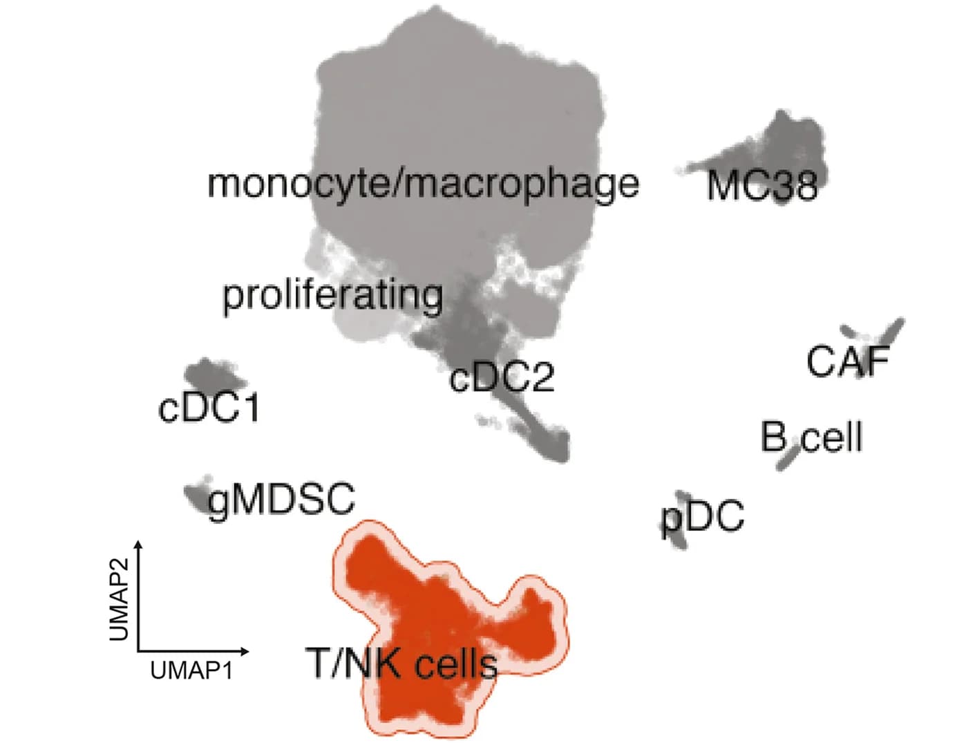Open access visualization of UMAP, UMAP Plot, Heterogeneity, Single-Cell Transcriptomes, Responder Strain Tumors
