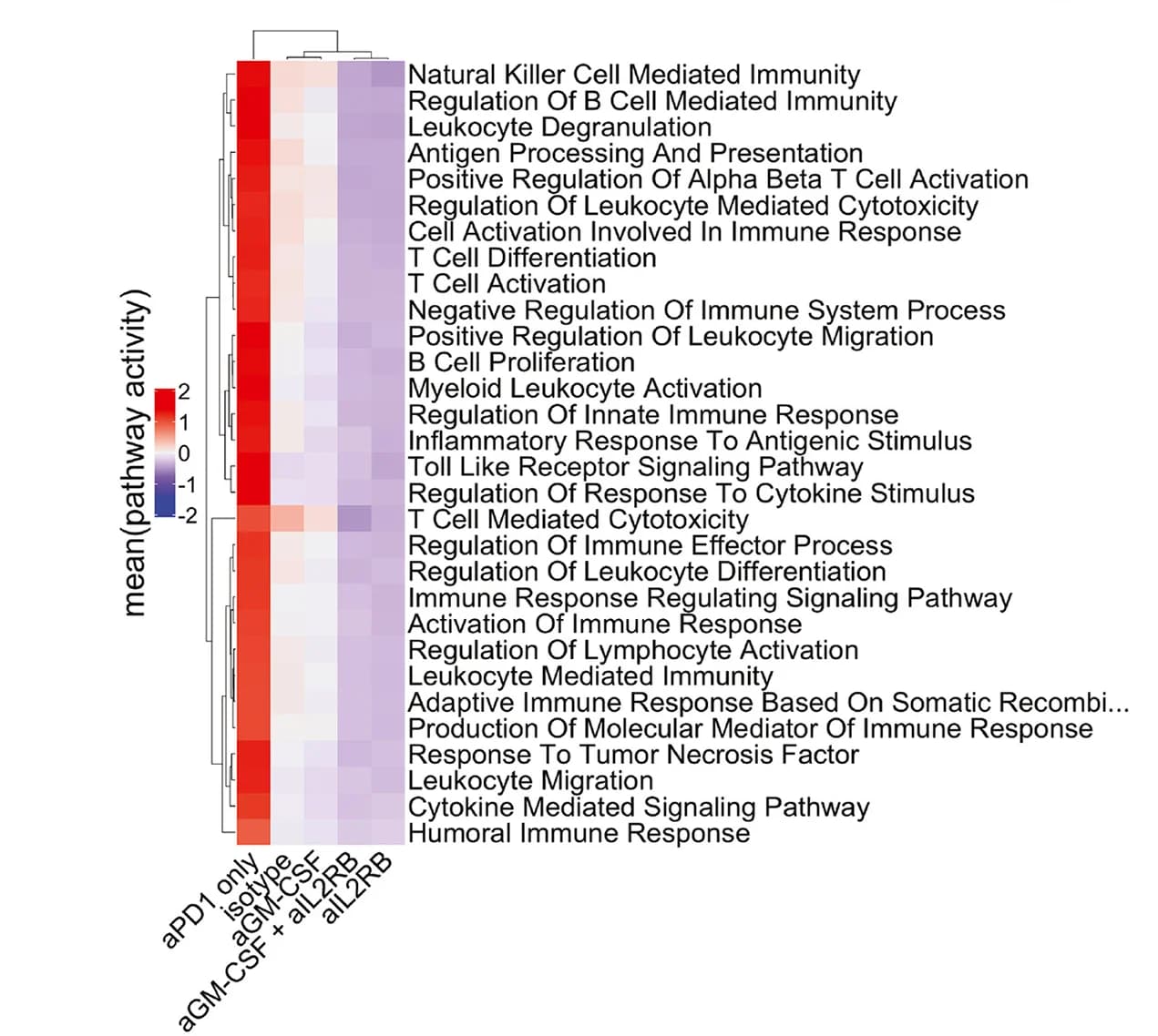 Open access visualization of Heatmap, Clustered, Immune-Related Pathways, Blocking Antibody, Immune Signatures