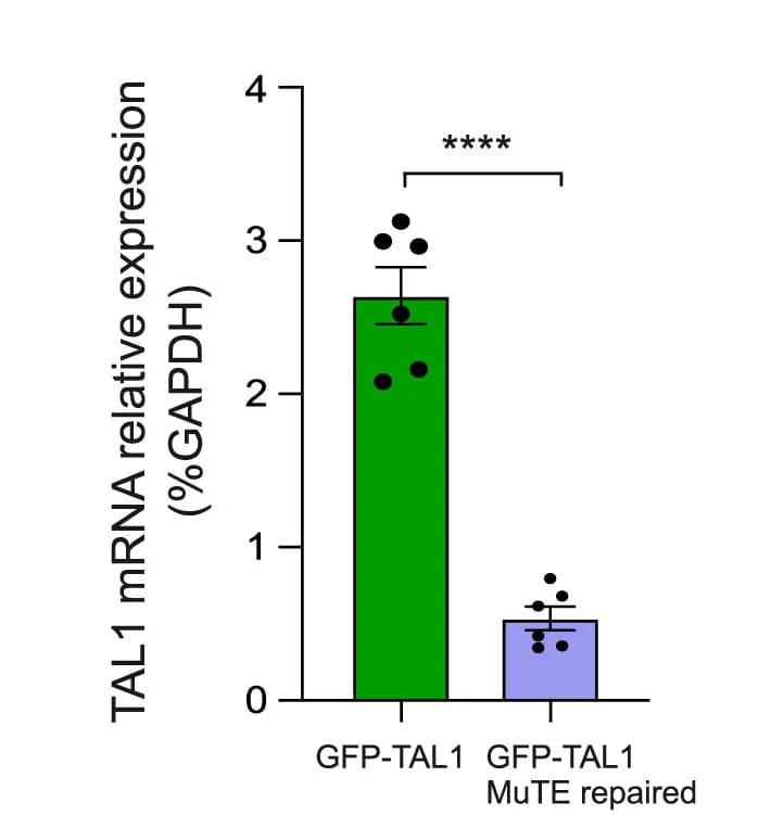 Open access visualization of Bar Plot, Error Bars, TAL1 mRNA Levels, Jurkat MSCV-TAL1 Cells, Jurkat GFP-TAL1 Cells