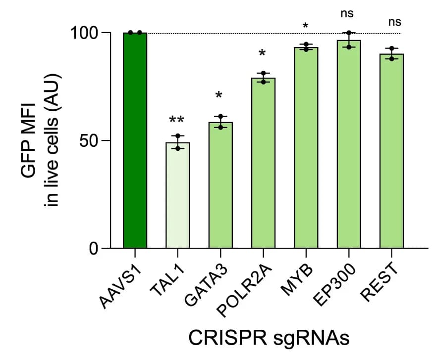 Open access visualization of Bar Plot, Error Bars, GFP MFI, Jurkat GFP-TAL1 Cells, Electroporation