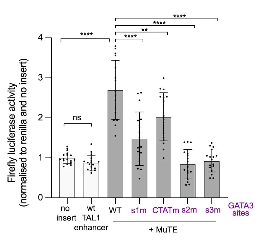 Open access visualization of Bar Plot, Error Bars, Enhancer-Luciferase Reporter Assay, Jurkat Cells, pGL3 Reporter Constructs
