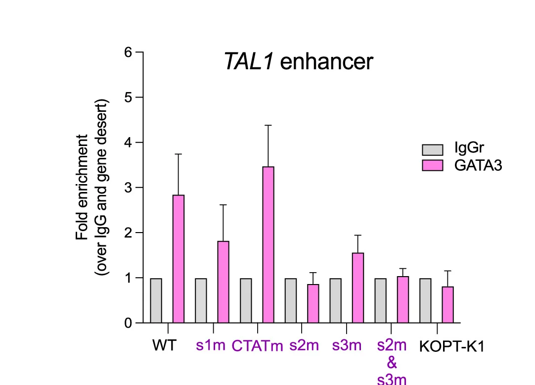 Open access visualization of Bar Plot, Error Bars, Clustered, ChIP-qPCR Analysis, GATA3